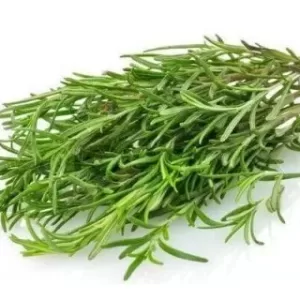 Organic fresh rosemary gr 100