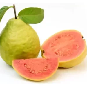 Organic sicilian Guava gr 500